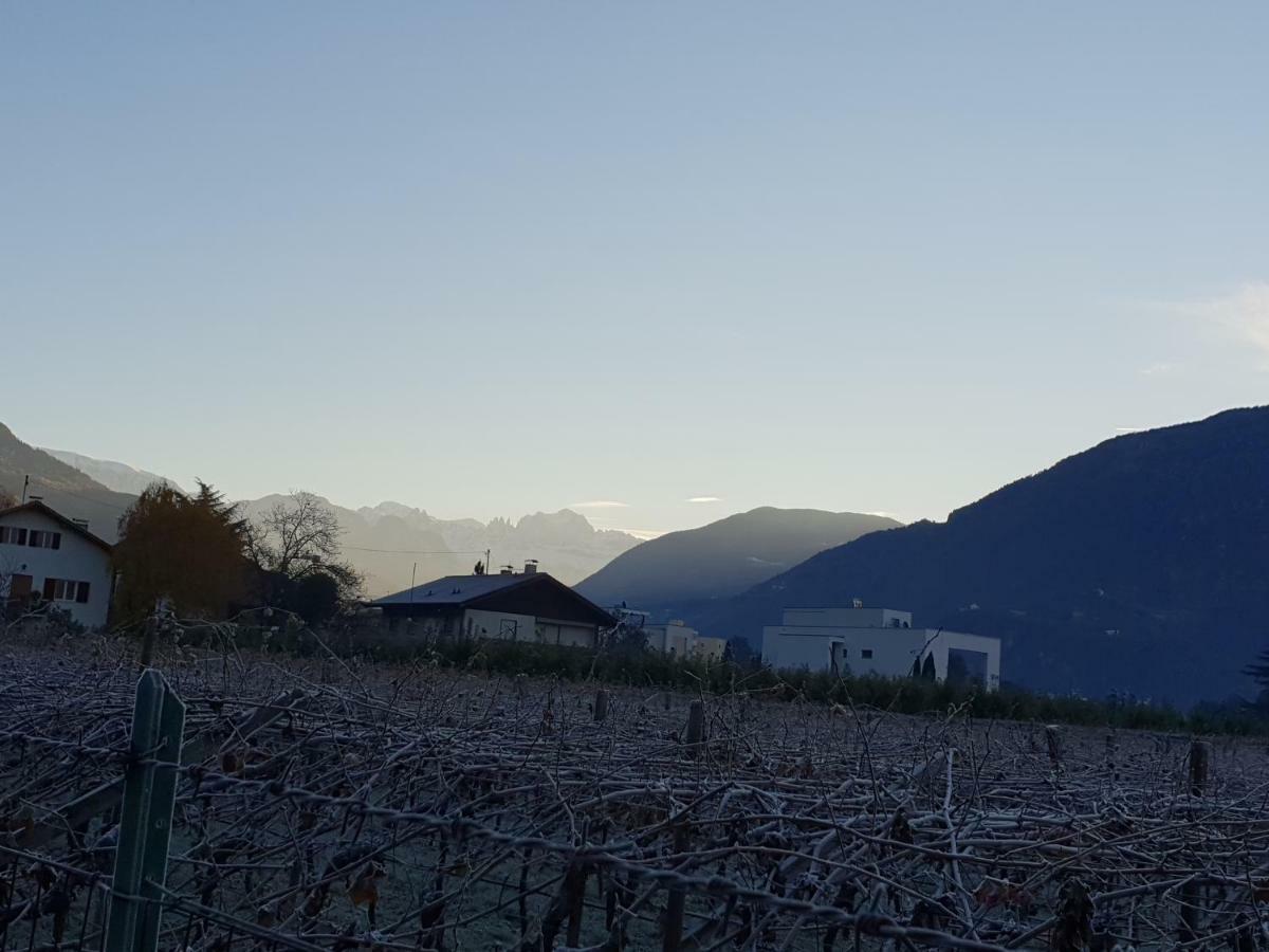Domus Rose Rooms Bolzano Eksteriør billede