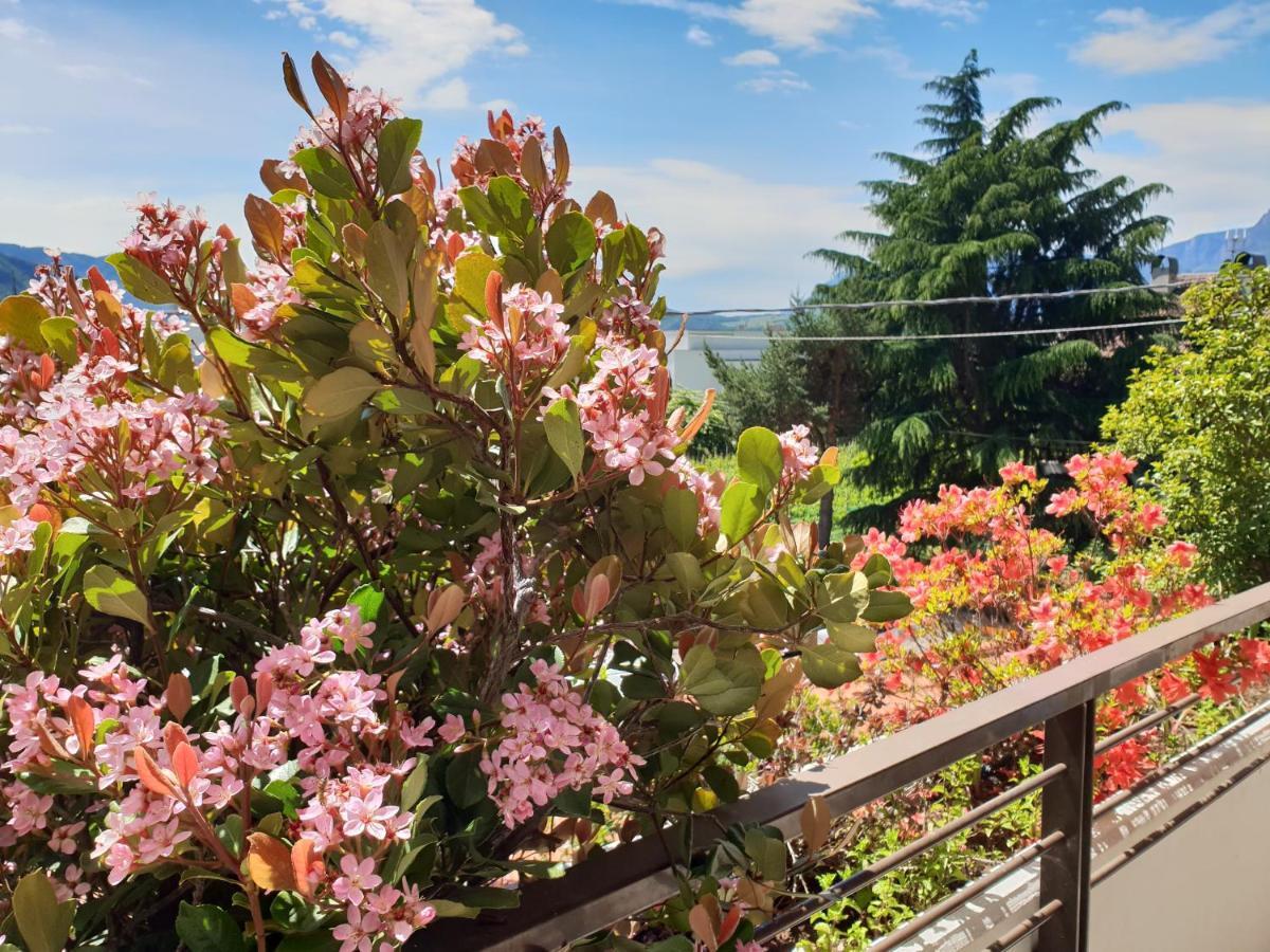 Domus Rose Rooms Bolzano Eksteriør billede
