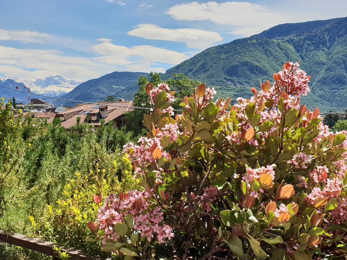Domus Rose Rooms Bolzano Eksteriør billede